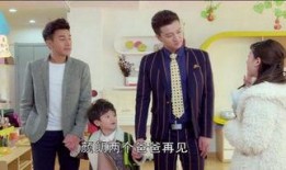 两个爸爸在线观看全集,温馨家庭情感之旅