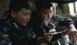 变形计第八季在线观看,青春蜕变之旅，在线观看见证成长瞬间