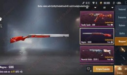 pubg国际服体验服最新爆料,最新Pubg国际服体验服爆料，全新内容即将上线！