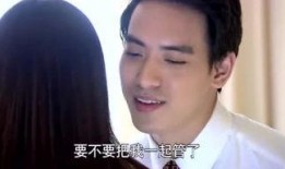 爆料剧情视频大全集,揭秘热门剧集幕后真相