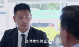 秘密要员 在线观看,揭秘神秘特工的惊险任务