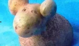 小羊返场最新爆料,最新爆料带你领略全新风采