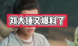 刘大锤早期爆料视频大全,揭秘娱乐圈幕后真相