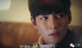 秘密要员 在线观看,揭秘神秘特工的惊险任务