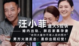 台湾新闻爆料汪小菲视频,台湾新闻爆料背后的真相揭秘