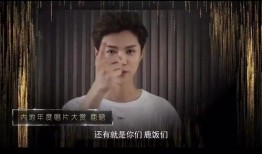 黄子诚视频爆料大全集在线观看,揭秘幕后真相，带你走进事件核心