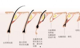郑州医美爆料事件视频最新,揭秘行业黑幕，真相令人震惊