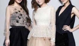 圈内爆料she,She组合背后的故事与真相