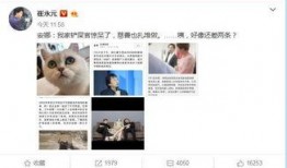 娱乐圈爆料者微博,揭秘明星幕后故事