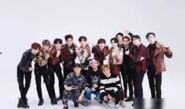 爆料之王王逸简介视频,揭秘其传奇经历与影响力