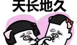 闺蜜进娱乐圈吃瓜,揭秘明星幕后吃瓜故事