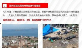 固安翟氏爆料事件最新进展,最新进展揭示惊人内幕