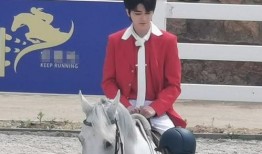 娱乐路透爆料模板下载,揭秘明星幕后故事，带你走进娱乐圈的神秘世界