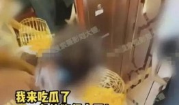 媒体爆料张小寒视频,揭秘背后惊人真相