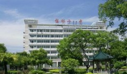 桂林楼盘爆料信息网最新,最新动态盘点，揭秘热门项目详情