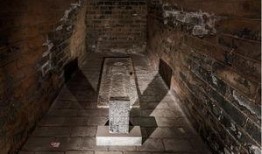 尸骨无存1在线观看,生死边缘的惊悚之旅