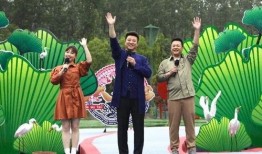 新疆整形爆料事件视频最新,真相与争议的交织