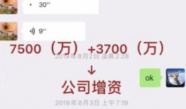 明星偷税爆料视频,明星偷税视频曝光引发社会热议