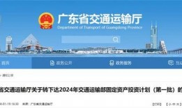 电白新闻爆料3月5号,揭秘重大事件背后真相