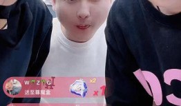 辛巴爆料散打失态视频,视频引发网友热议