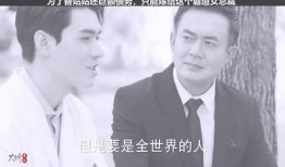 爱情CEO在线观看,揭秘现代都市爱情博弈的职场秘籍