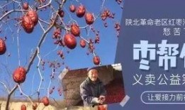 第一次的奉献在线观看