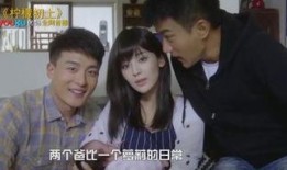 两个爸爸在线观看全集,温馨家庭情感之旅