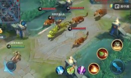 王者爆料五周年视频下载,揭秘视频背后的精彩瞬间