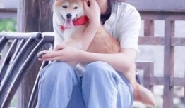 圈内爆料郭麒麟张子枫,娱乐圈新CP引热议