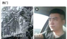 蘑菇爆料视频大全,揭秘热门视频背后的精彩故事