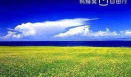 青海湖旅游爆料最新消息,探秘高原明珠的蜕变之旅