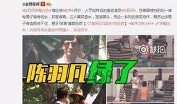 黄子诚视频爆料大全集在线观看,揭秘幕后真相，带你走进事件核心