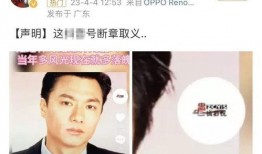 林俊贤老婆爆料视频播放,揭秘背后惊人真相