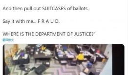 爆料外国视频,真实事件背后的惊人真相