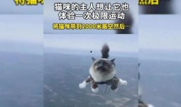 搞笑爆料动物视频大全下载,萌宠瞬间让你笑翻天