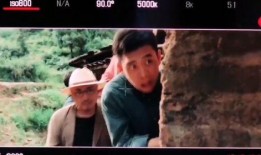 陶虹车祸爆料视频最新版