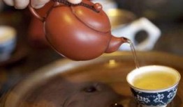 喝茶爆料最新视频大全集,最新视频大全集精彩瞬间回顾