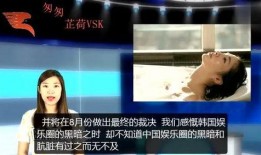 中国娱乐圈 爆料,揭秘明星背后的真相与争议