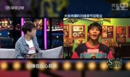 刘维爆料美食视频大全下载,一场味蕾的盛宴之旅