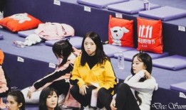 孙怡综艺爆料视频全集,揭秘娱乐圈幕后真相