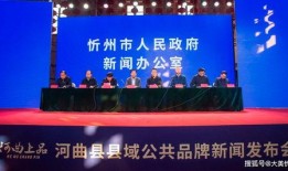 山西忻州爆料新闻报道视频,最新视频揭露惊人真相！