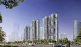 石家庄租房最新爆料,揭秘热门区域价格走势与热门房源推荐