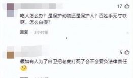 最新黑龙江爆料新闻视频,惊人事件引发社会关注