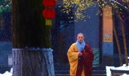 持善法师爆料视频全集,揭秘佛教界内幕与修行真相