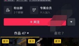 风岚岚最新爆料,揭秘娱乐圈惊天大事件！