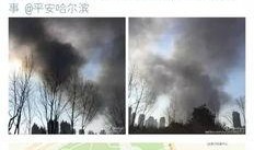 哈尔滨农人爆料视频,揭秘农村生活现状与挑战