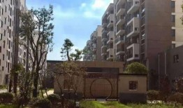 蛇姐最新爆料网址视频,最新爆料网址视频大揭秘！