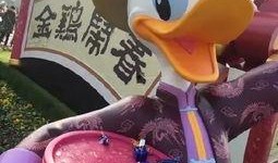娱乐圈爆料唐老鸭事件,唐老鸭事件真相揭秘