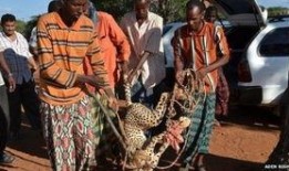 非洲狂奔在线观看,穿越草原的惊险之旅