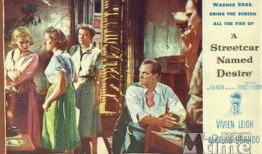 偷窥世界在线观看,揭秘虚拟现实中的隐私边界